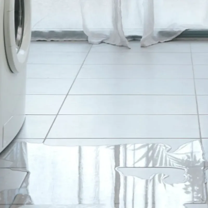 Appliance Leak Cleanup in Bolivar, NY