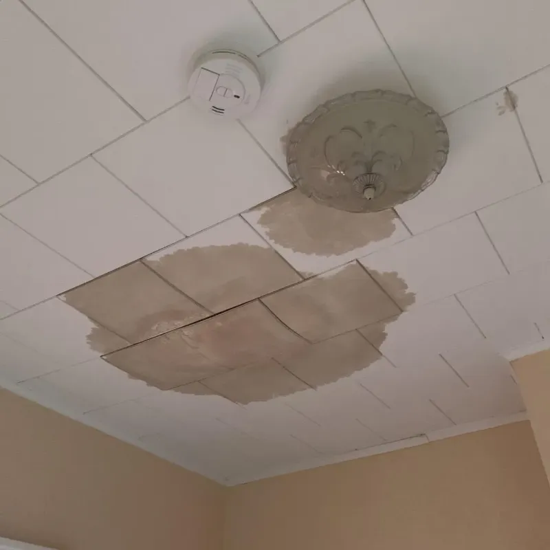Ceiling Water Damage Repair in Bolivar, NY