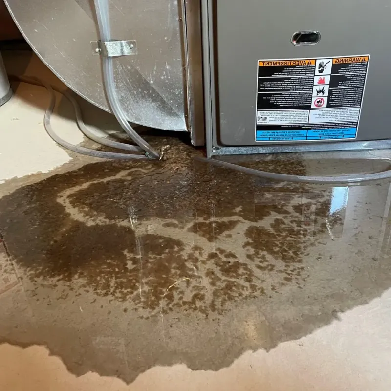 Pipe Burst and Leak Restoration in Bolivar, NY