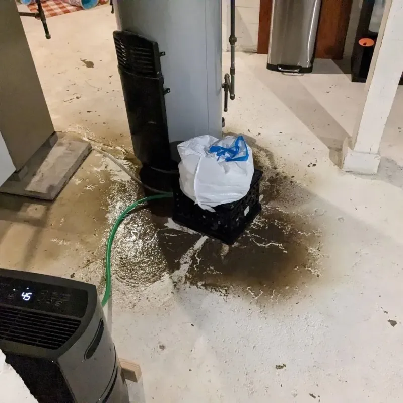 Sewage Backup Cleanup Service in Bolivar, NY